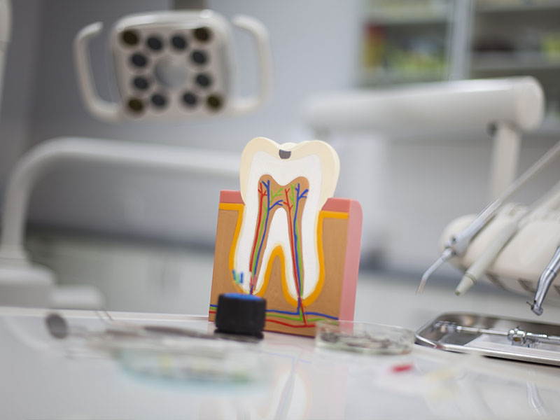Dentist in Bloomington